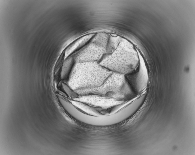 X0000098220858200805221647