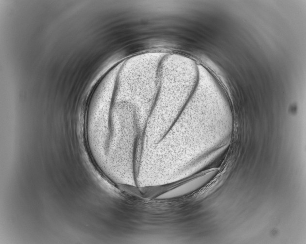 X0000098220859200805221647