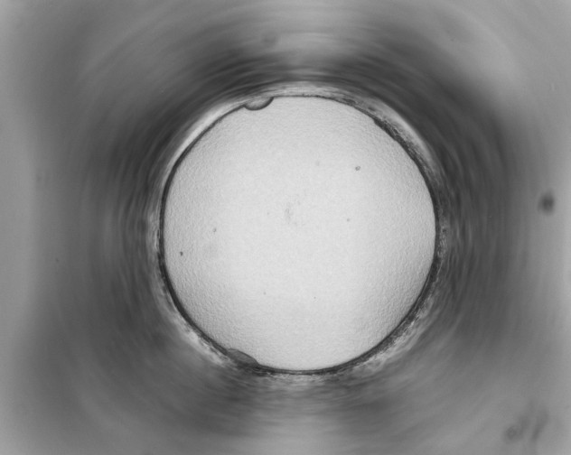 X0000098220860200805221647