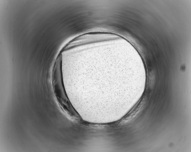 X0000098220862200805221647