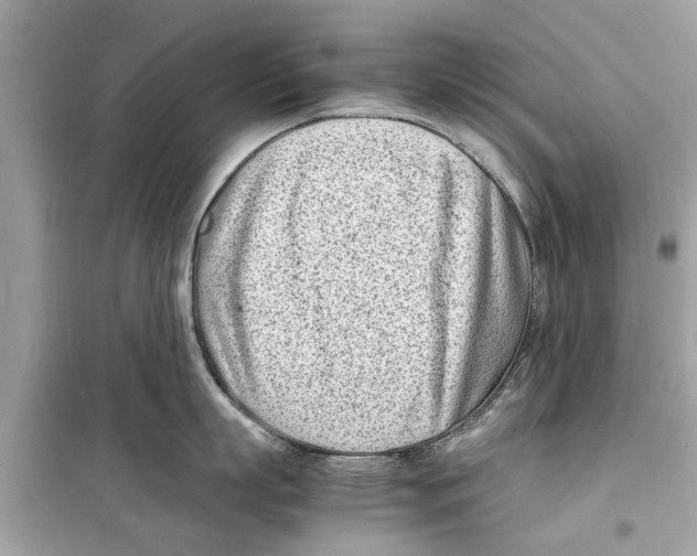 X0000098220863200805221647