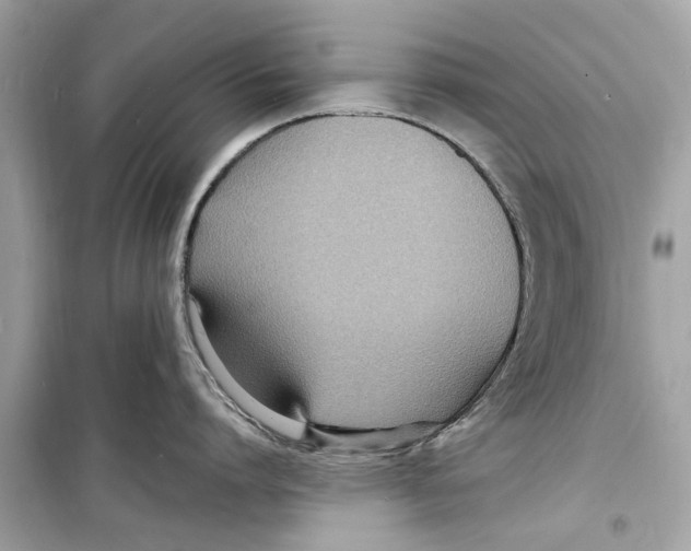 X0000098220864200805221647