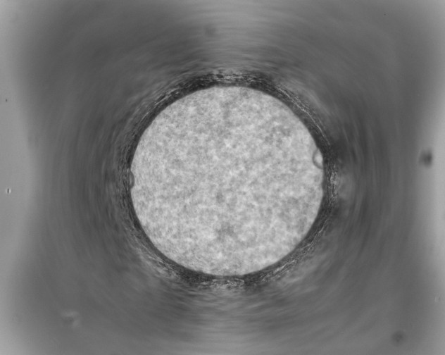 X0000098220865200805221646