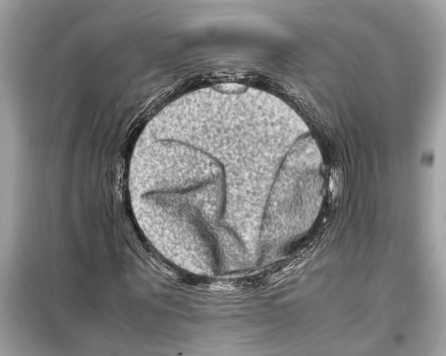 X0000098220867200805221646