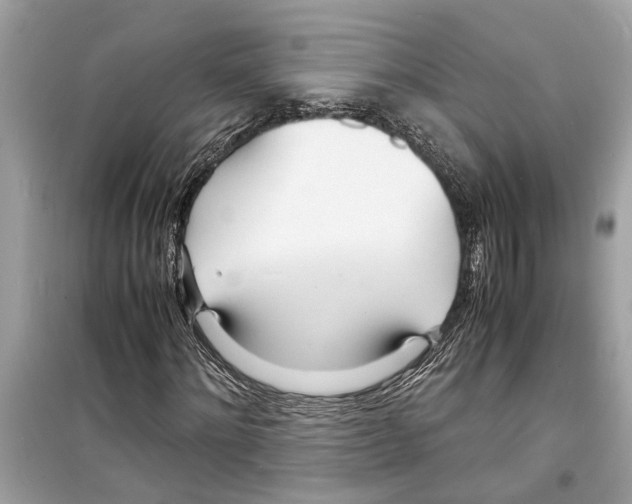 X0000098220868200805221646