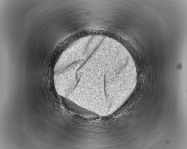 X0000098220870200805221646