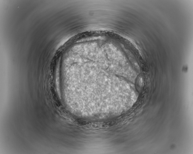 X0000098220871200805221646