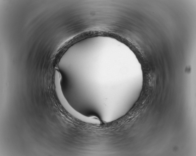 X0000098220872200805221646