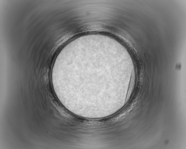 X0000098220873200805221646