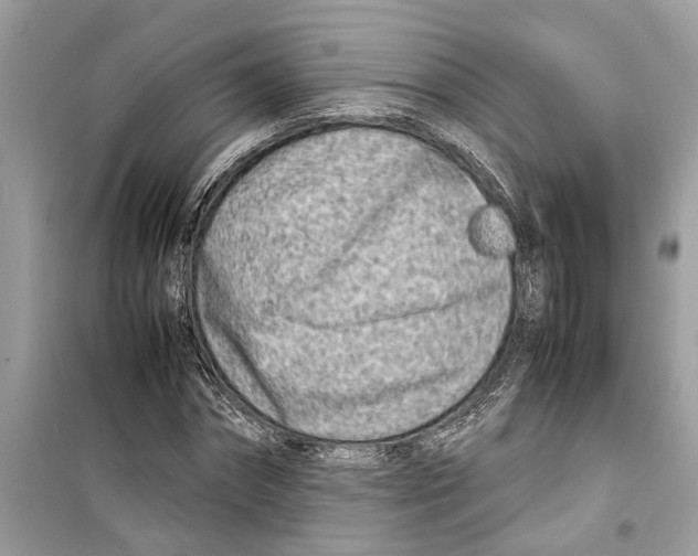 X0000098220874200805221646