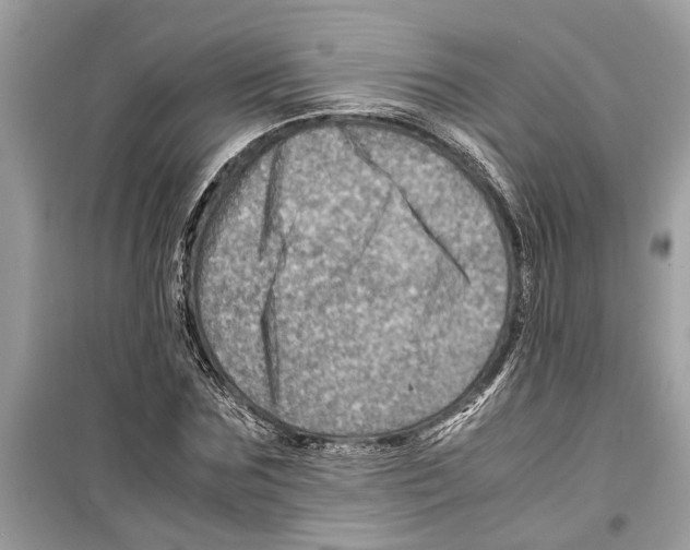 X0000098220875200805221646