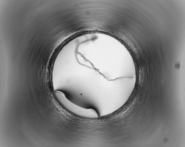 X0000098220876200805221646