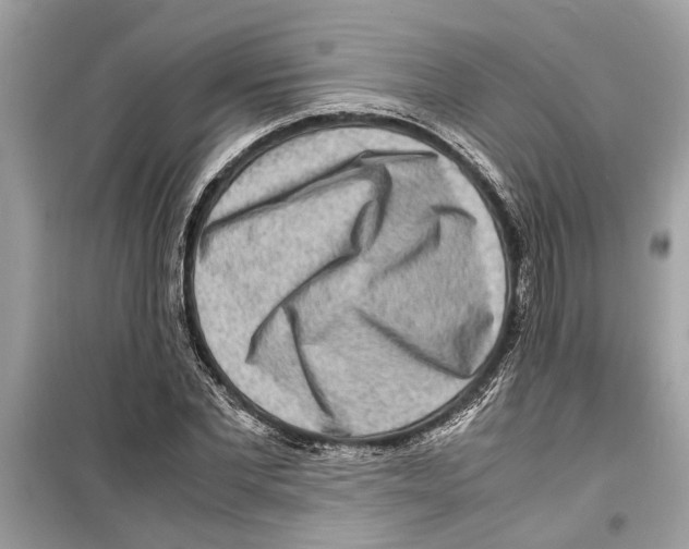 X0000098220877200805221646