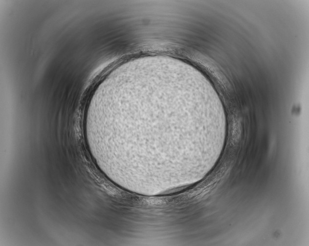 X0000098220878200805221646
