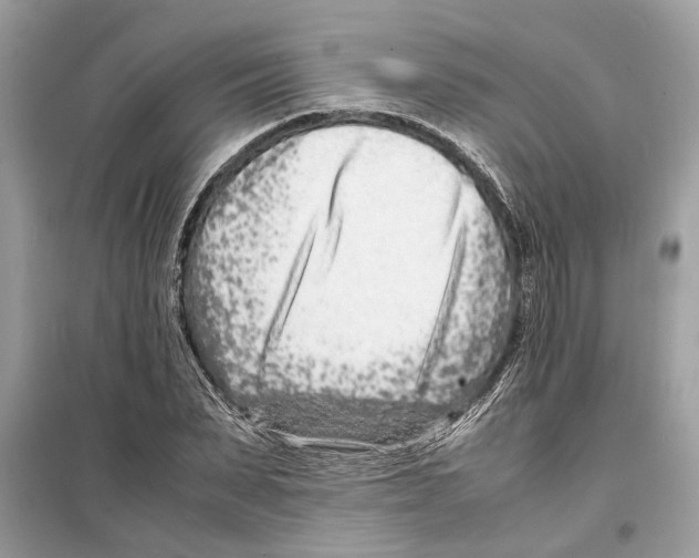 X0000098220879200805221646