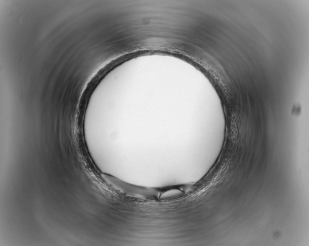 X0000098220880200805221646