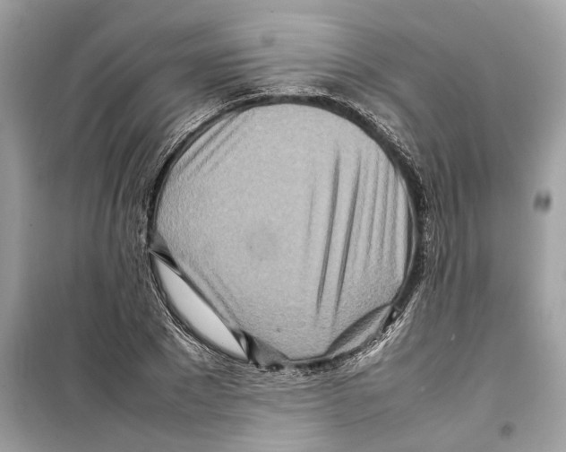 X0000098220881200805221646
