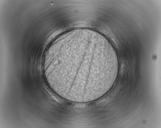 X0000098220882200805221646
