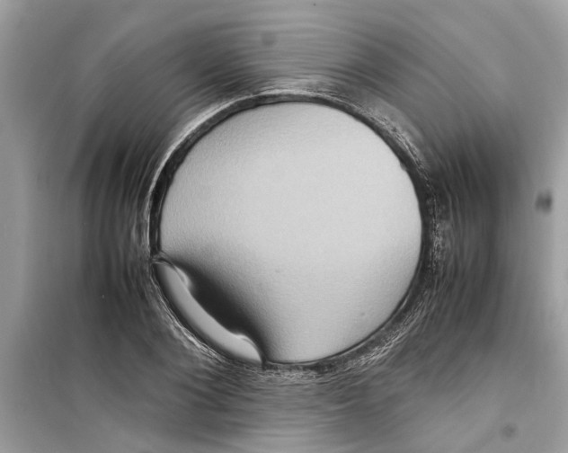 X0000098220884200805221646