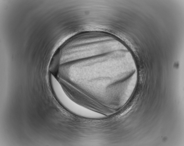 X0000098220885200805221646