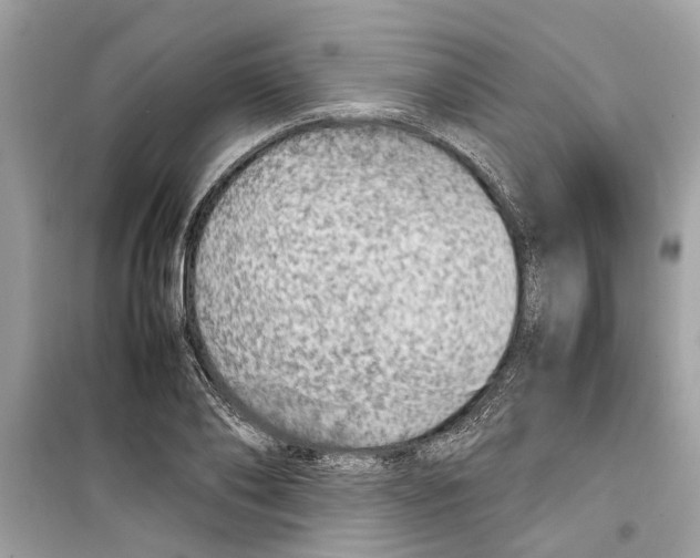 X0000098220886200805221646
