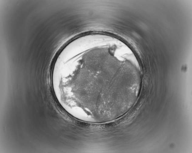 X0000098220887200805221646