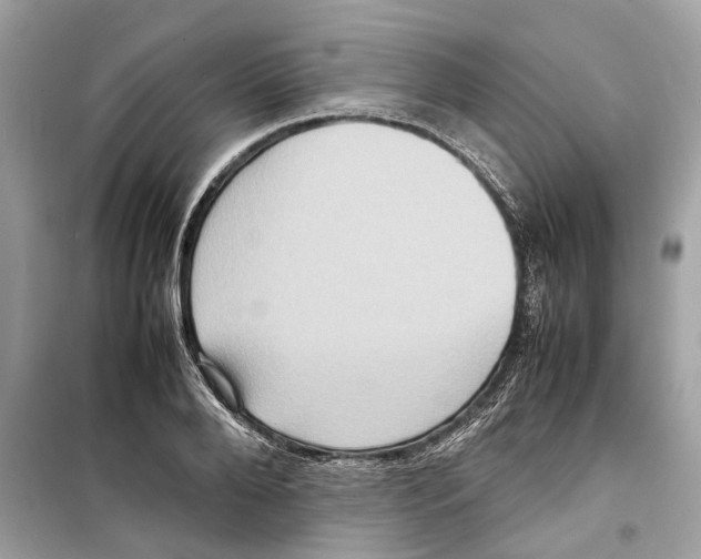 X0000098220888200805221646