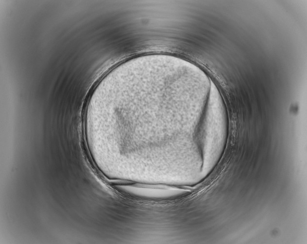 X0000098220890200805221646