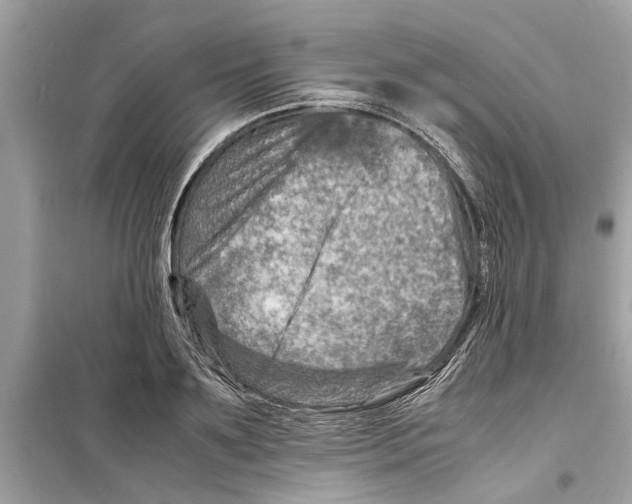 X0000098220891200805221646