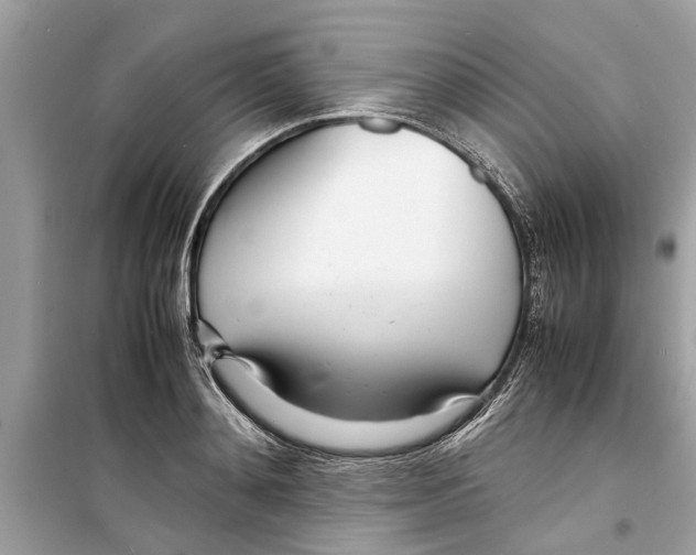 X0000098220892200805221646