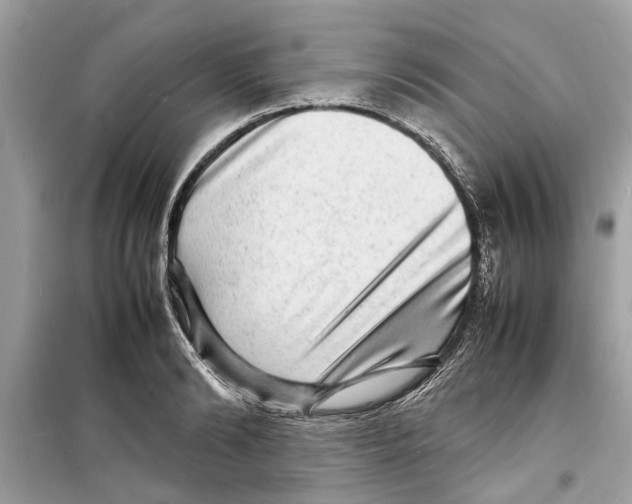 X0000098220894200805221646