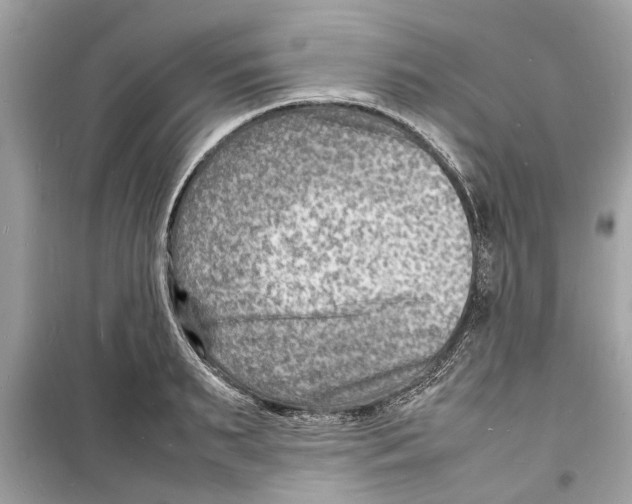 X0000098220895200805221646