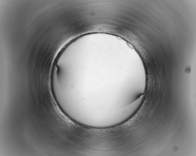 X0000098220896200805221646