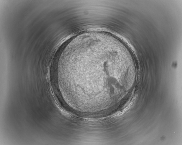 X0000098220897200805221646