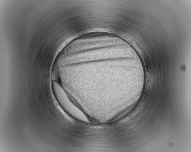 X0000098220898200805221646