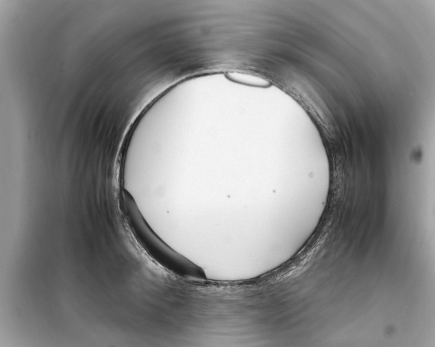 X0000098220900200805221646