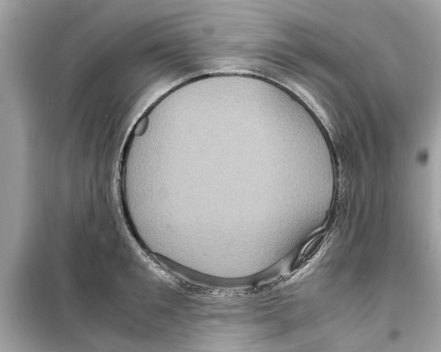 X0000098220901200805221646