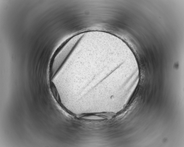 X0000098220902200805221646