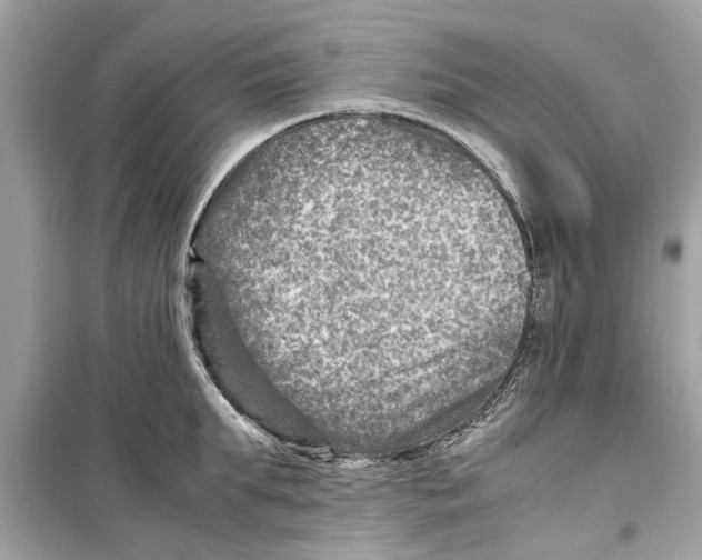 X0000098220903200805221646