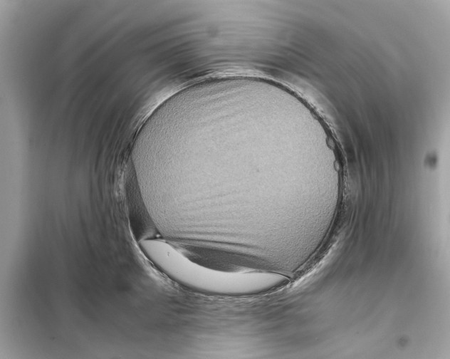 X0000098220905200805221646