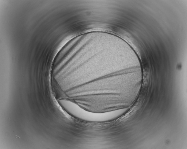 X0000098220906200805221646