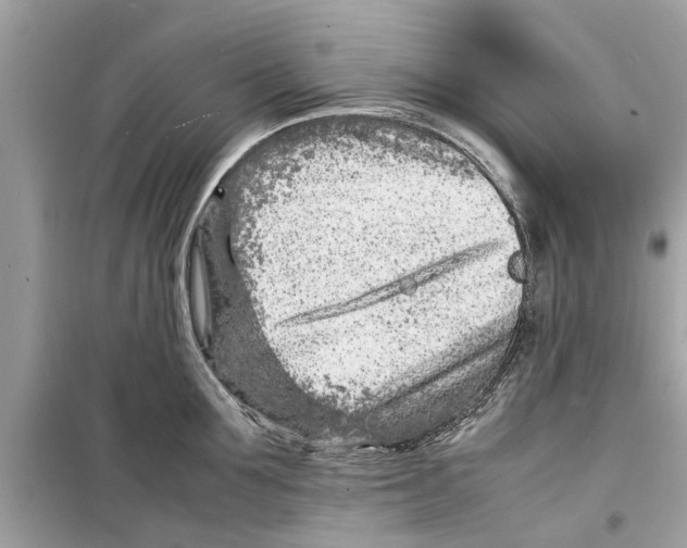 X0000098220907200805221646