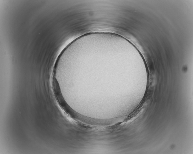 X0000098220909200805221646