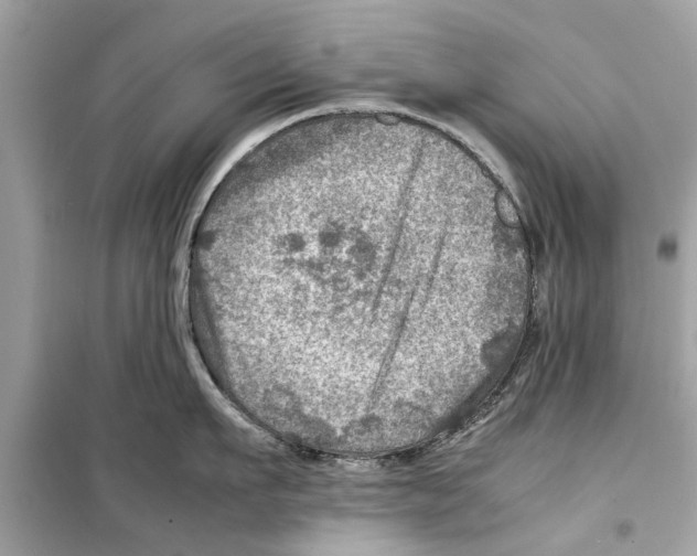 X0000098220911200805221646
