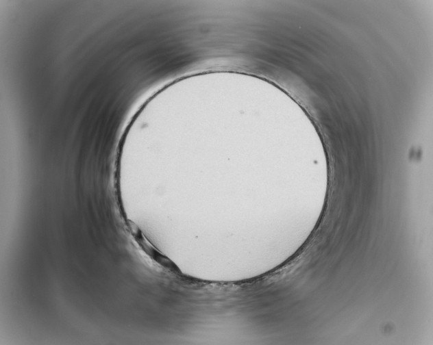 X0000098220912200805221646