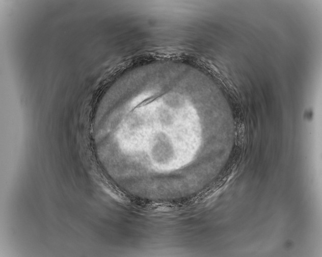 X0000098220913200805221645