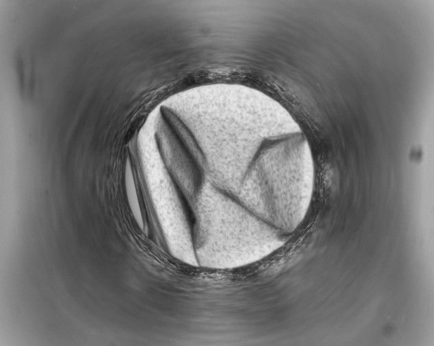 X0000098220914200805221645