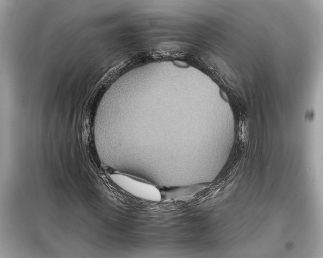 X0000098220915200805221645