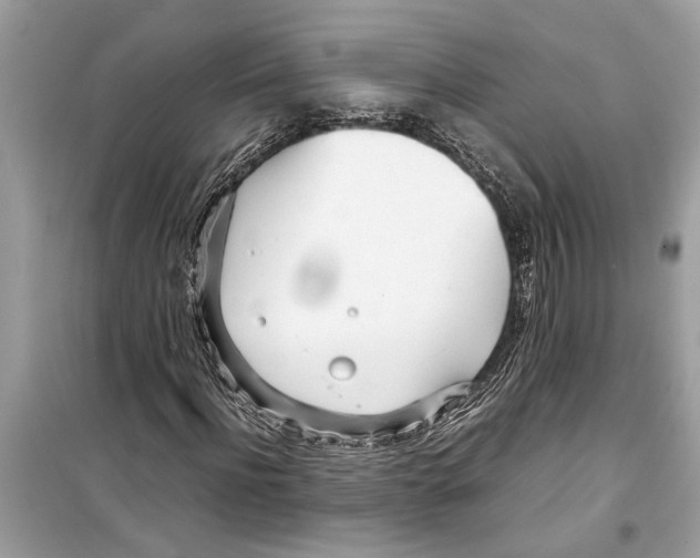 X0000098220916200805221645