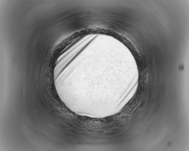 X0000098220919200805221645